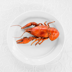 boiled lobster on a white plate