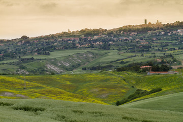 Fototapeta na wymiar Tuscany landscape around Pienza, Val d'Orcia, Italy