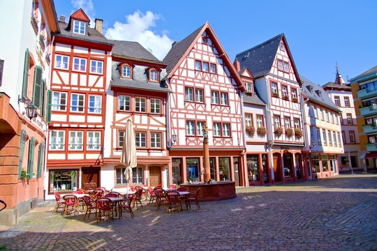 Mainz, Kirschgarten (Juni 2014)