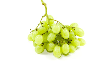 Frische Grüne Trauben