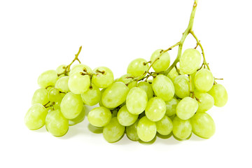 Frische Grüne Trauben
