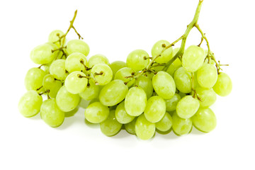 Frische Grüne Trauben