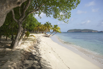 Mustique Island St Vincent and the Grenadines Caribbean 10