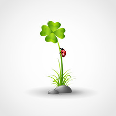 marienkäfer auf kleeblatt © krissikunterbunt