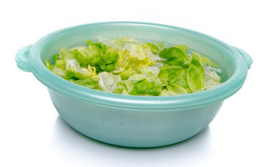 Washing of lettuce in a plastic bowl