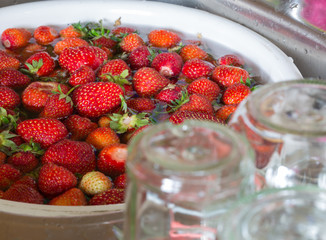 Erdbeermarmelade Kochen vorbereitung Erdbeeren Waschen