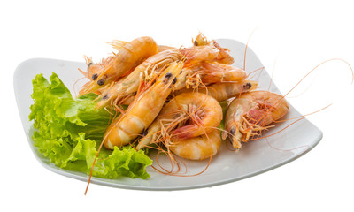 Big tiger shrimps