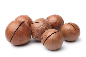 Macadamia nut