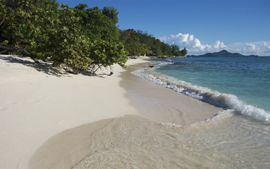 palm island st vincent and the grenadines caribbean 42