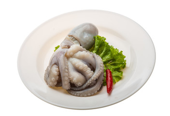 Raw octopus