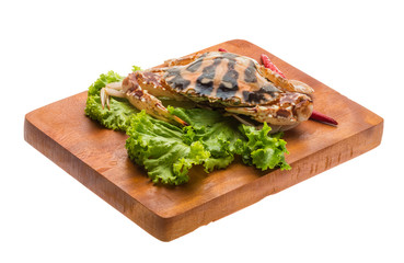 Red crab