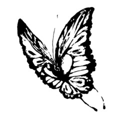 butterflies design