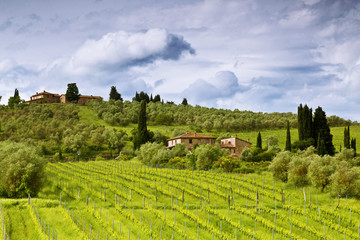 Fototapeta na wymiar Rural landscape of Tuscany. Italy