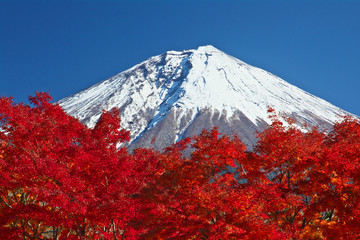 富士山と紅葉