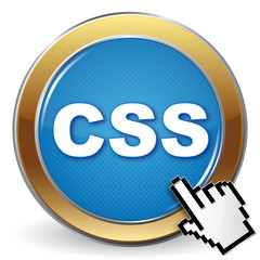 CSS ICON