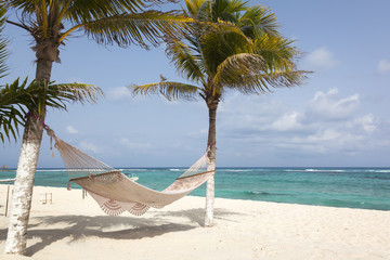 Idyllic beach with coconut trees and hammock at Mexico