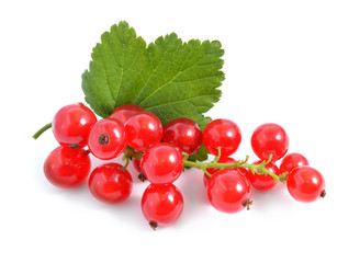 Redcurrant isolated on white background