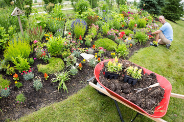 Man planting in the garden