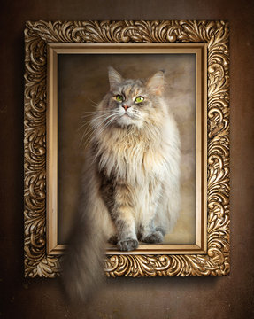 The sitting cat in gold frame