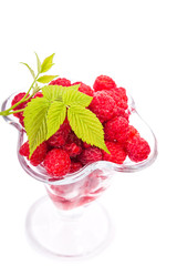 raspberries and a sprig of green