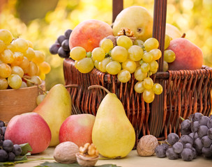 Autumn fruits - organic fruits