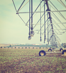 Sprinkler Irrigation