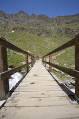 Fototapeta premium Parco Nazionale del Gran Paradiso