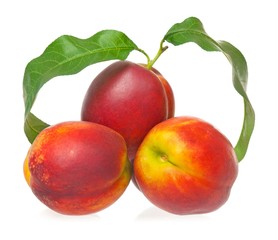 Ripe nectarines