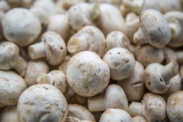 Mushrooms