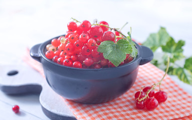 red currant
