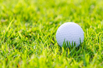 Golf ball on green grass