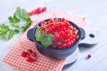 red currant