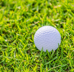 Golf ball on green grass