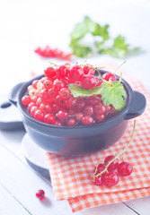 red currant