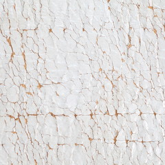 close - up leather texture and background