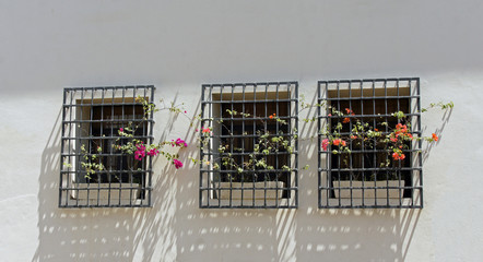 santo domingo
