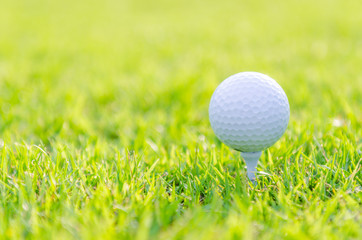Golf ball on green grass