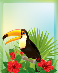 Tropical background with toucan