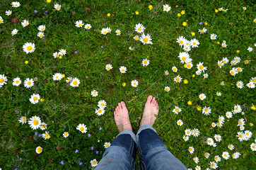 Füße in Blumenwiese