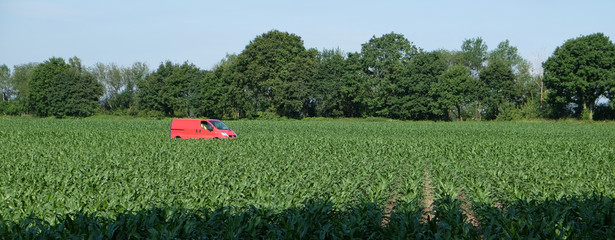 Fototapete bei efototapeten.de bestellen   