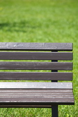 A wooden bench in summer at park