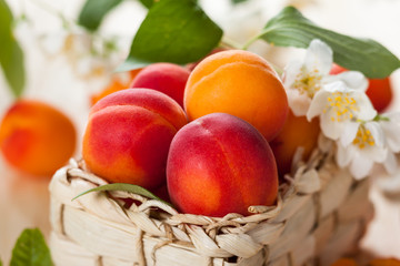 fresh apricots