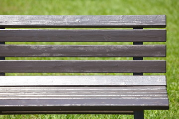 A wooden bench in summer at park