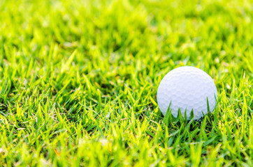 Golf ball on green grass