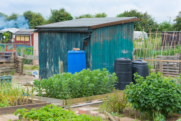 Allotment shed with compost bins and water butt