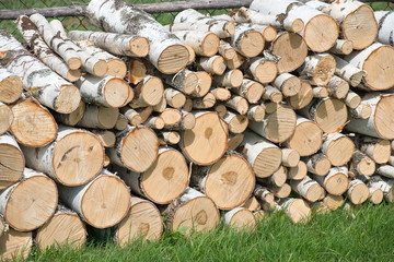 Fototapeta premium Reserves of birch logs closeup