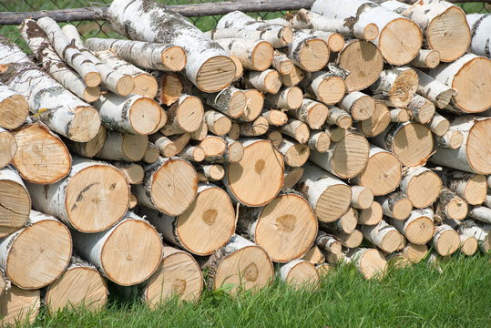 Reserves of birch logs closeup