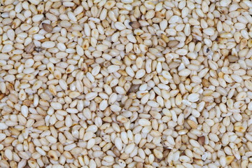 close - up organic natural sesame seeds