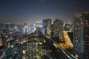 Fototapeta na wymiar Tokyo skyline at central of tokyo in night time