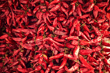 Fototapeta premium Pepper